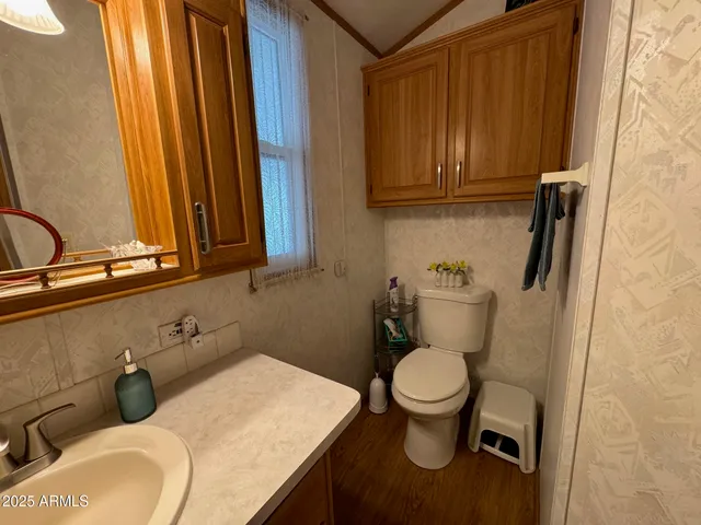 a bathroom with a sink and a toilet