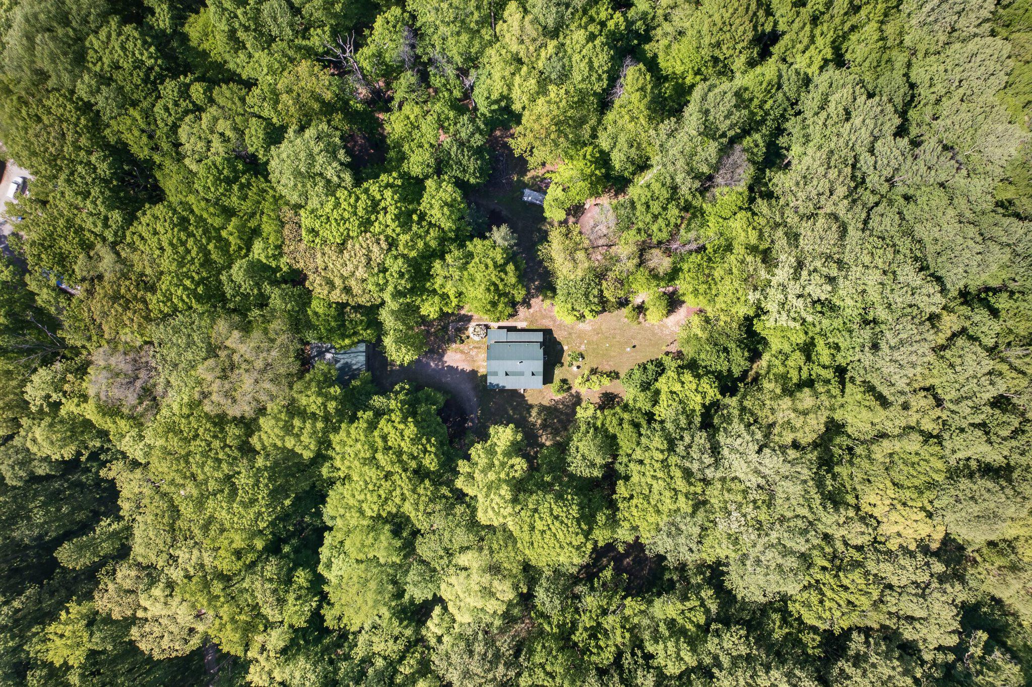 403 Union Church Road Townsend, DE 19734 - Photo 68 of 73 Secluded retreat amidst lush greenery.