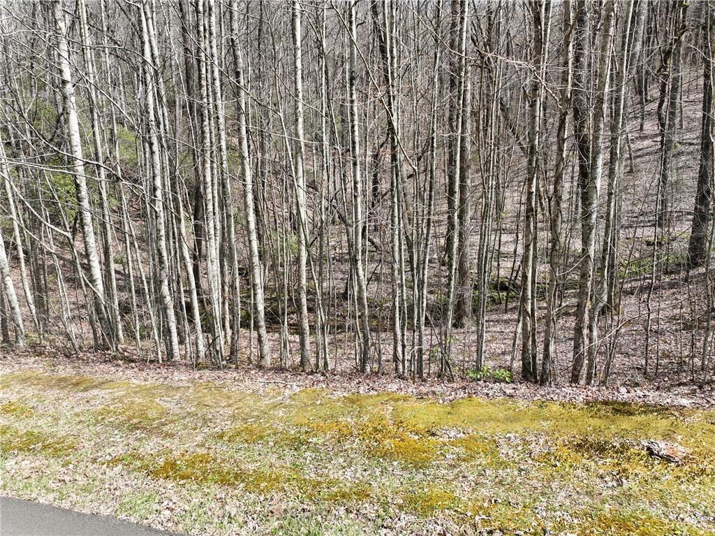 64 St. Andrews Way Jasper, GA 30143 - Photo 12 of 25