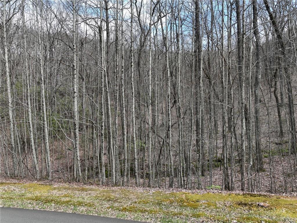 64 St. Andrews Way Jasper, GA 30143 - Photo 15 of 25