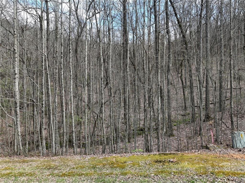 64 St. Andrews Way Jasper, GA 30143 - Photo 16 of 25