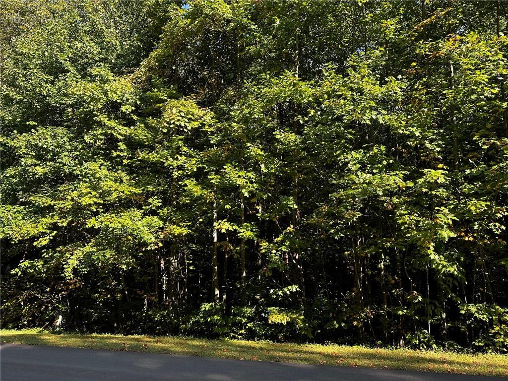 64 St. Andrews Way Jasper, GA 30143 - Photo 21 of 25