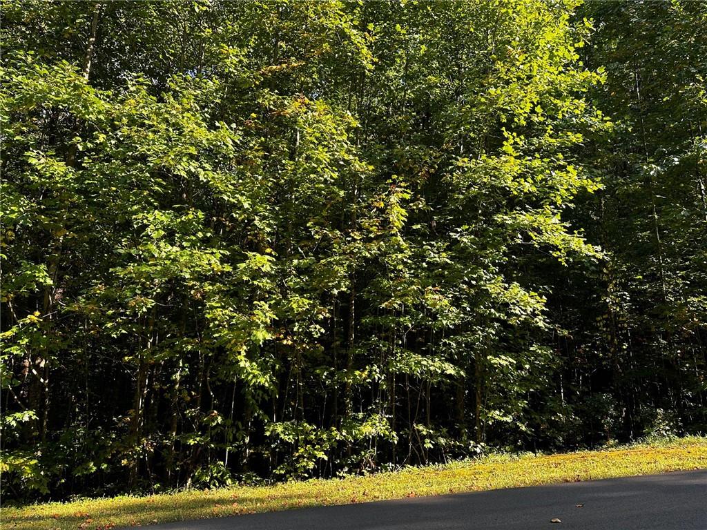 64 St. Andrews Way Jasper, GA 30143 - Photo 22 of 25