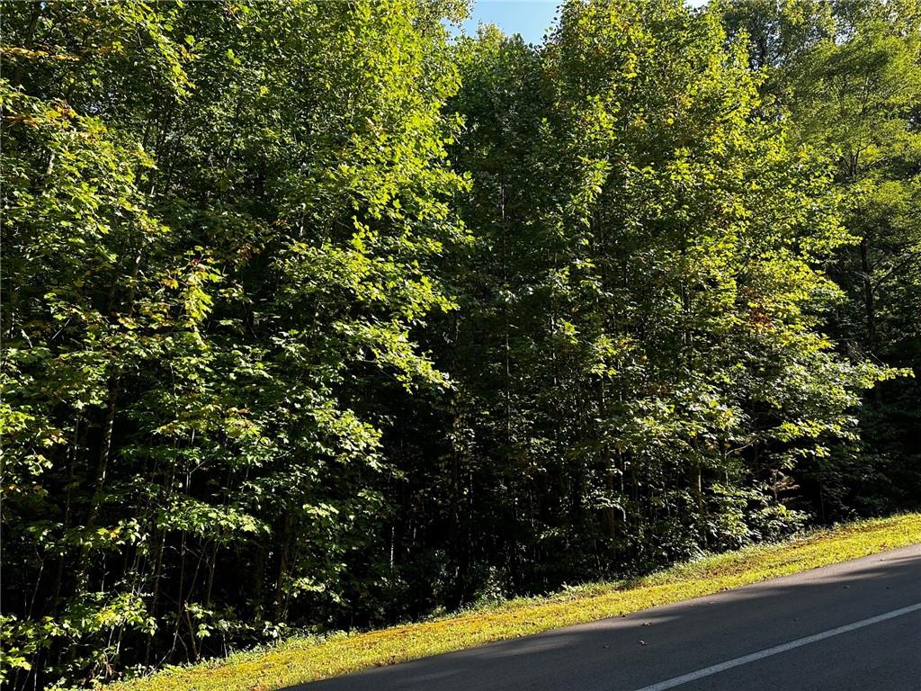 64 St. Andrews Way Jasper, GA 30143 - Photo 23 of 25