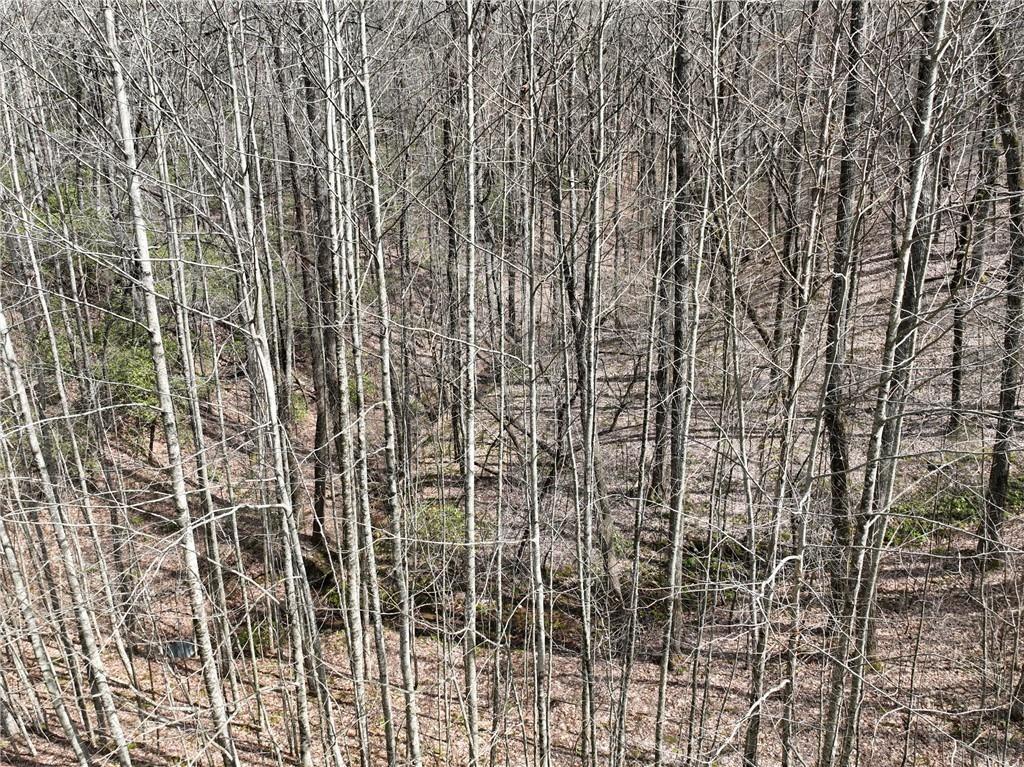 64 St. Andrews Way Jasper, GA 30143 - Photo 9 of 25