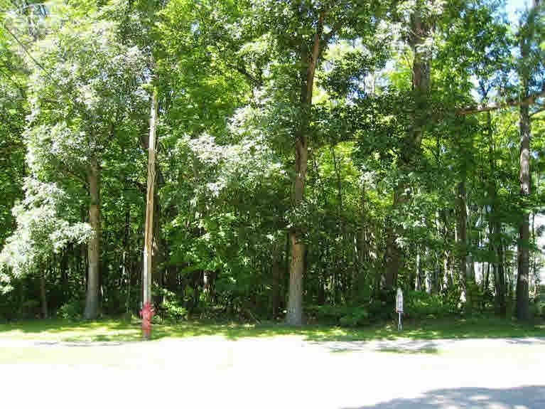 0 Thompson Howell, MI 48843 - Photo 6 of 12