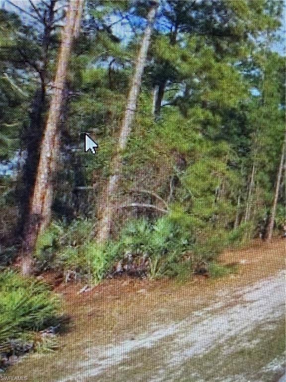 3281 15th Avenue Southwest Naples, FL 34117 - Photo 1 of 3 View of landscape