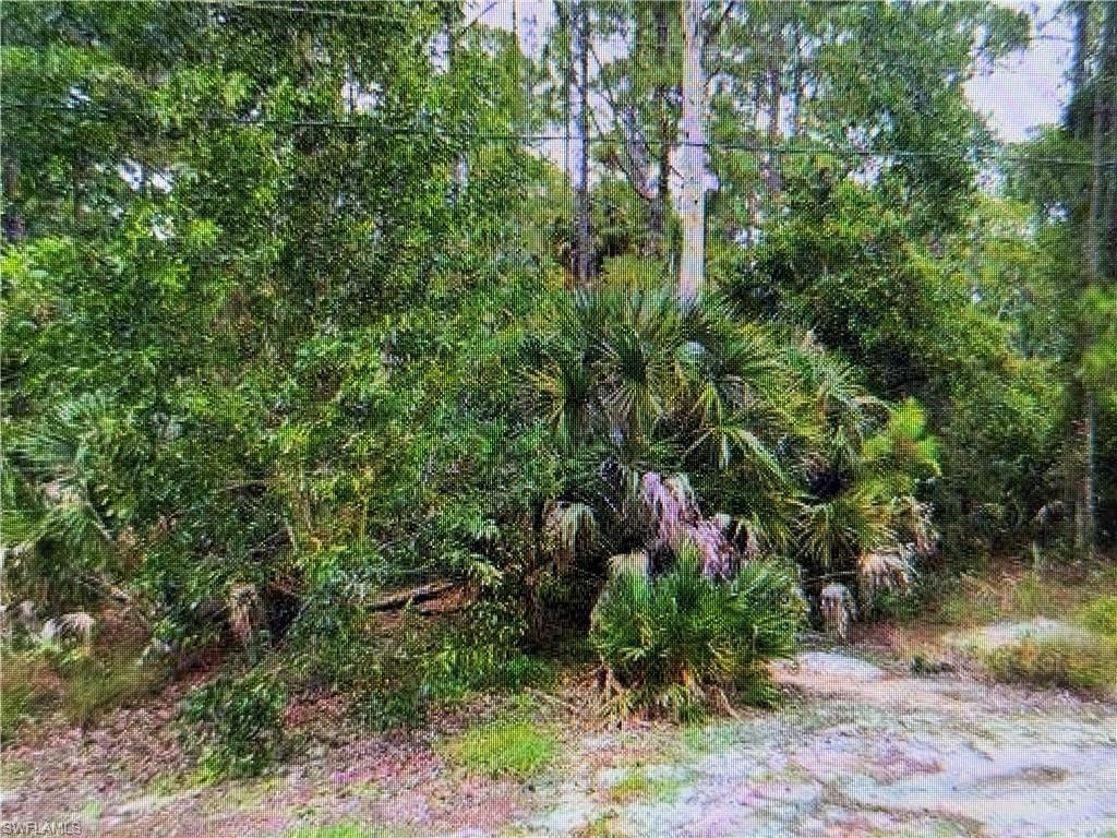 3281 15th Avenue Southwest Naples, FL 34117 - Photo 2 of 3 View of landscape