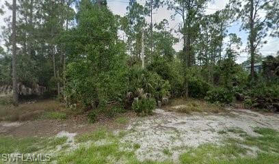3281 15th Avenue Southwest Naples, FL 34117 - Photo 3 of 3 View of nature