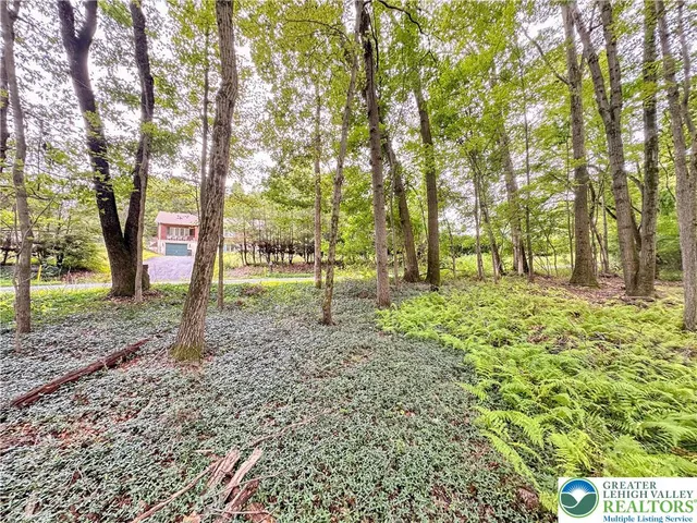 a backyard of a house with lots of green space