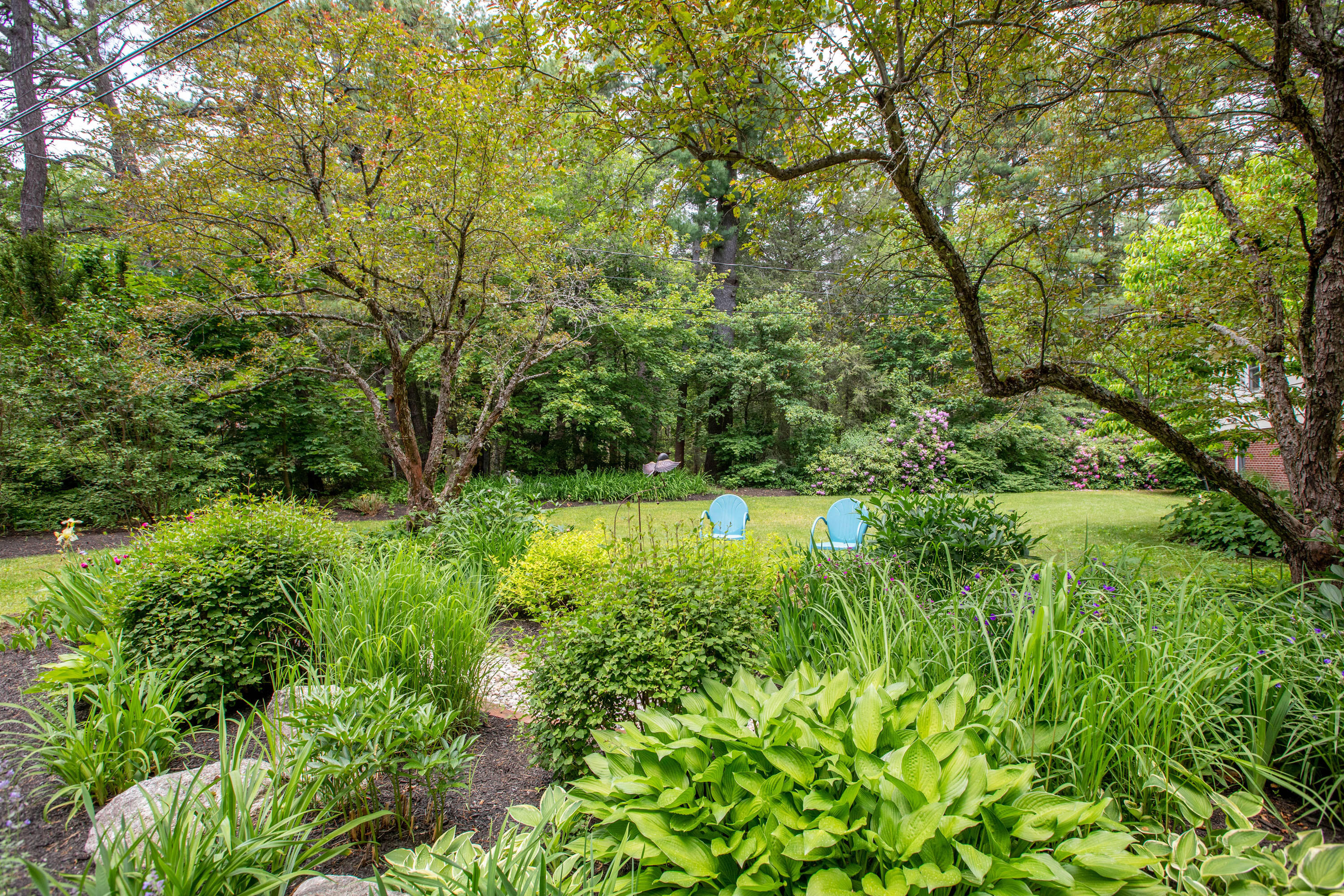 17 Meadowbrook Road Brunswick, ME 04011 - Photo 55 of 71 Well Landscaped