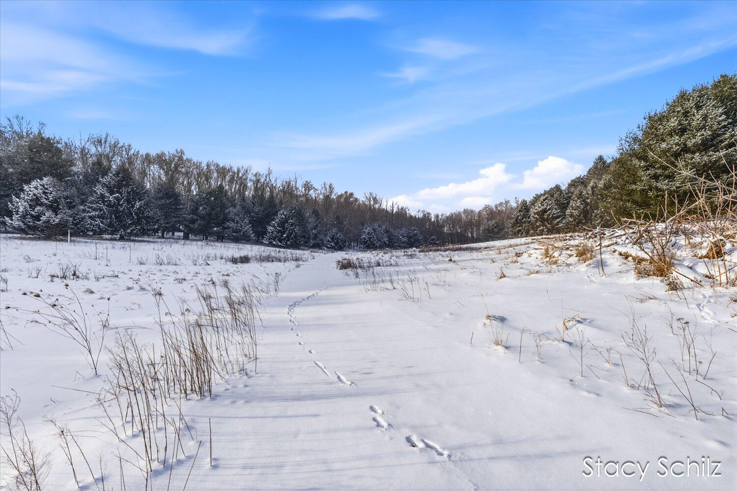 3155 Ryan Road Hastings, MI 49058 - Photo 8 of 27 08-WM3155ryanrd-19