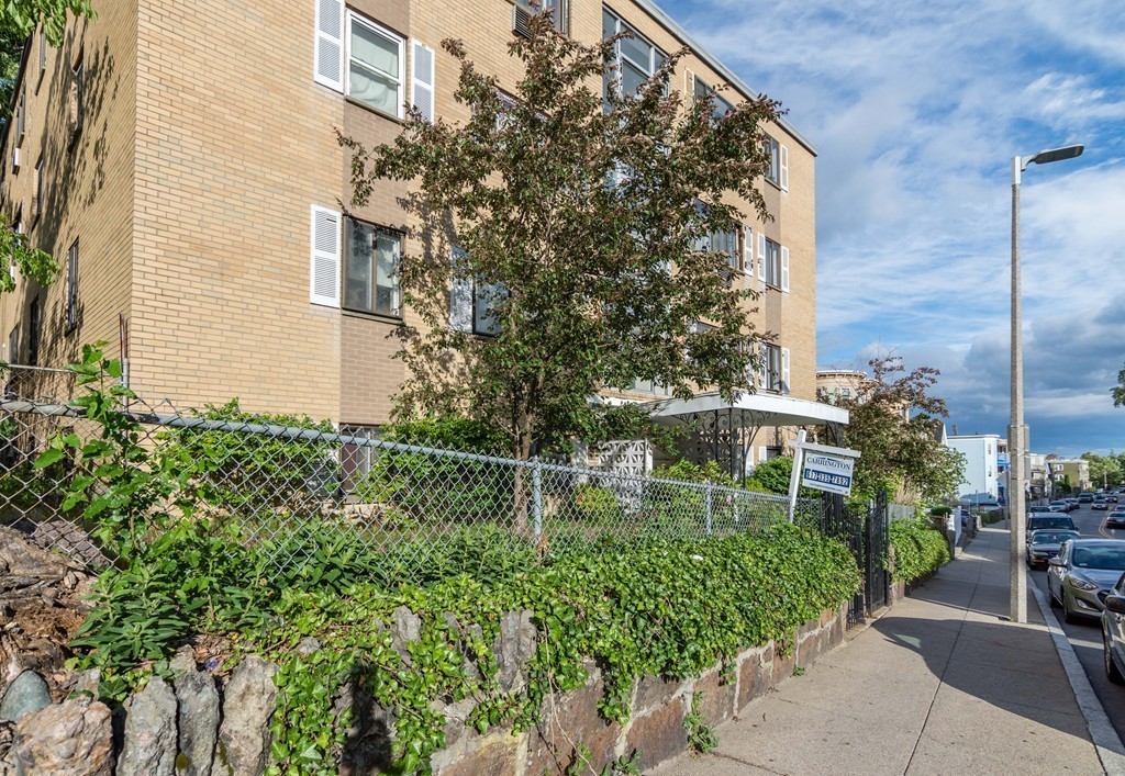 46 Adams Street, Unit A1 Boston, MA 02122 - Photo 2 of 7