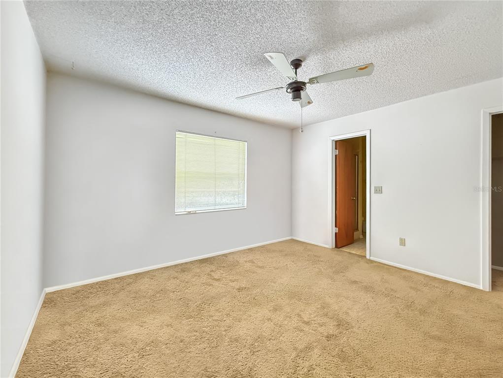 6904 Williams Road Seffner, FL 33584 - Photo 11 of 19