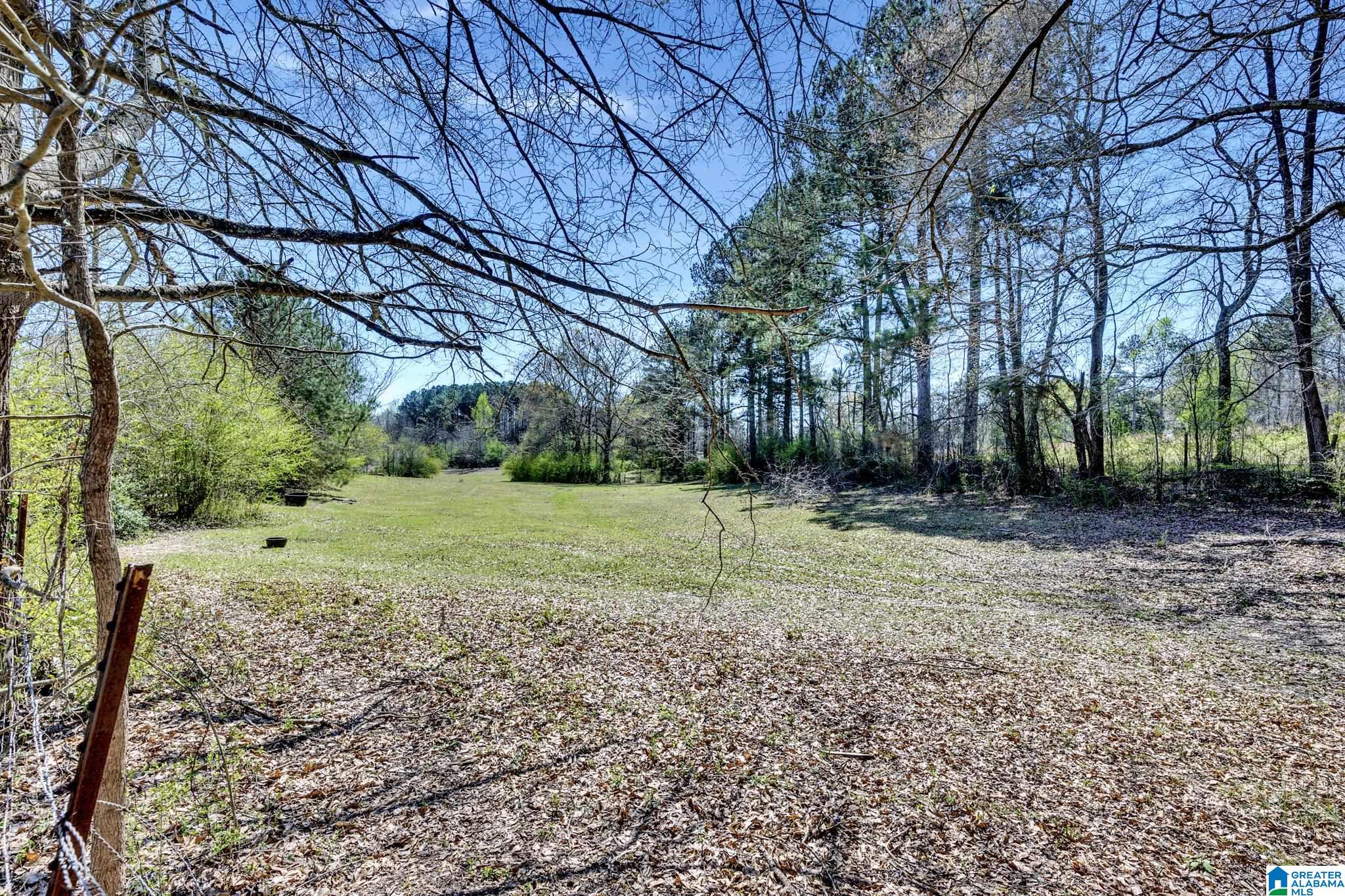 5139 Greathouse Road Dora, AL 35062 - Photo 6 of 46
