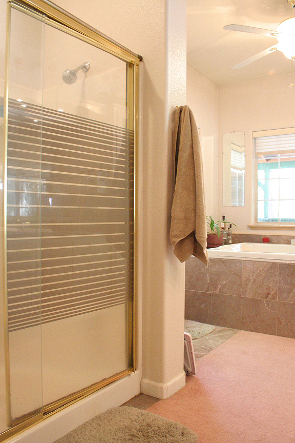 8657 McCumber Lk Road Shingletown, CA 96088 - Photo 18 of 46 Master Bathroom Shower & Jacuzzi