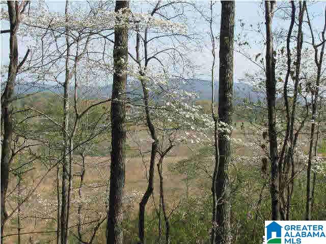 Bowden Ridge Drive, Unit 5 22 Lineville, AL 36266 - Photo 1 of 8