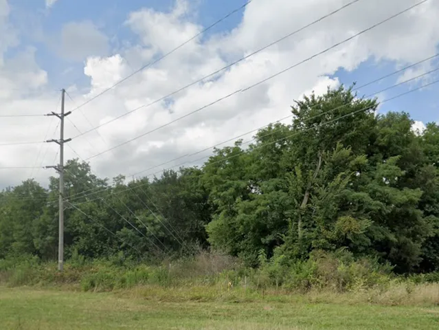 a view of a yard with large trees