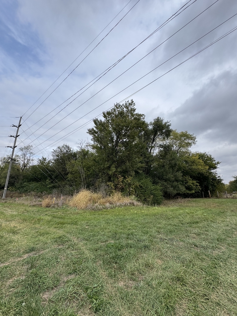 999 Raccuglia Drive LaSalle, IL 61301 - Photo 5 of 5 a view of a yard