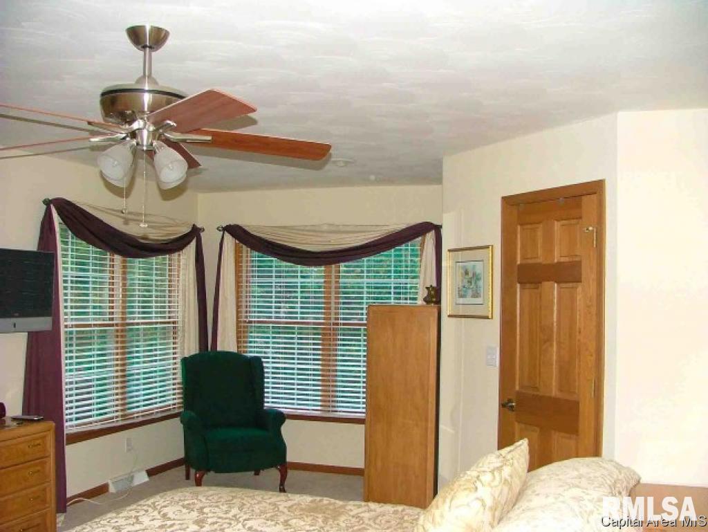 2508 Chapel Hill Road, Unit D Springfield, IL 62702 - Photo 15 of 16
