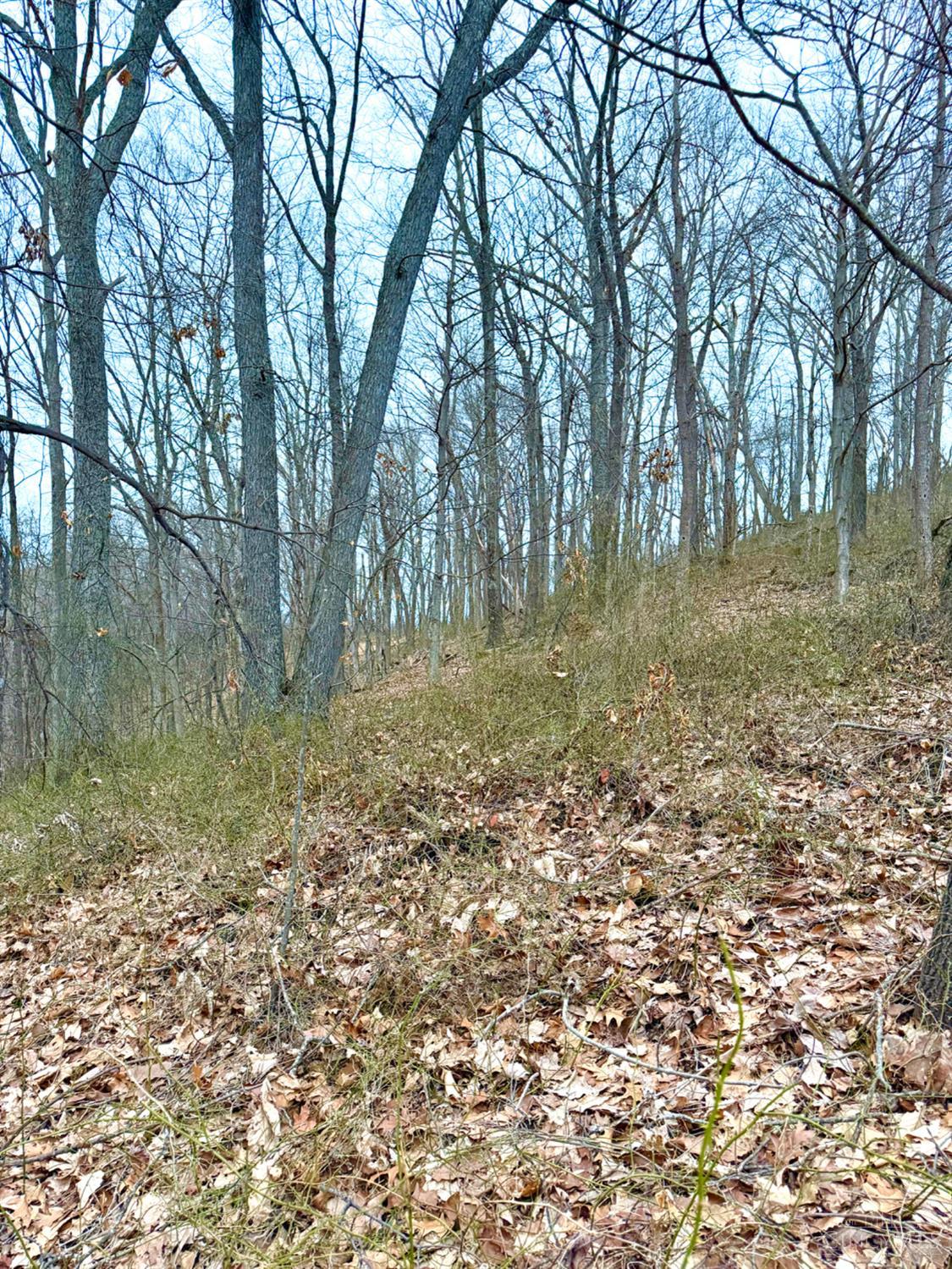 0 Straight Creek Road Waverly, OH 45690 - Photo 45 of 71