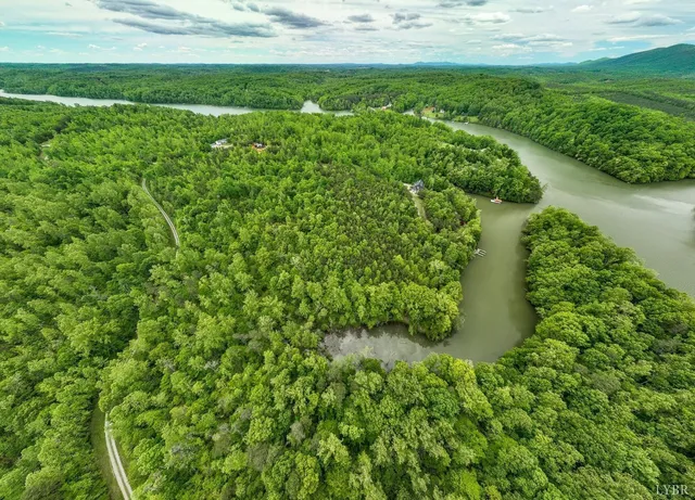 a view of a garden with an outdoor space