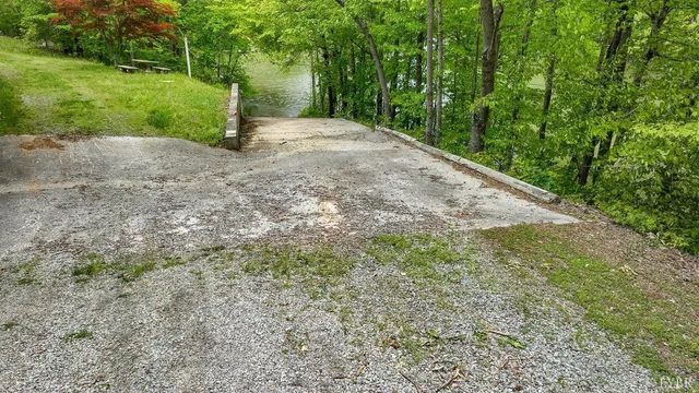 a view of a yard with plants and large trees