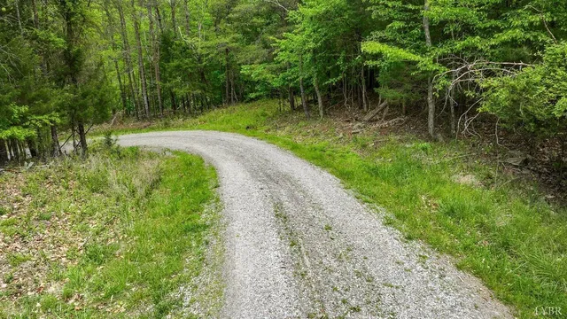a view of a park with plants and a bench