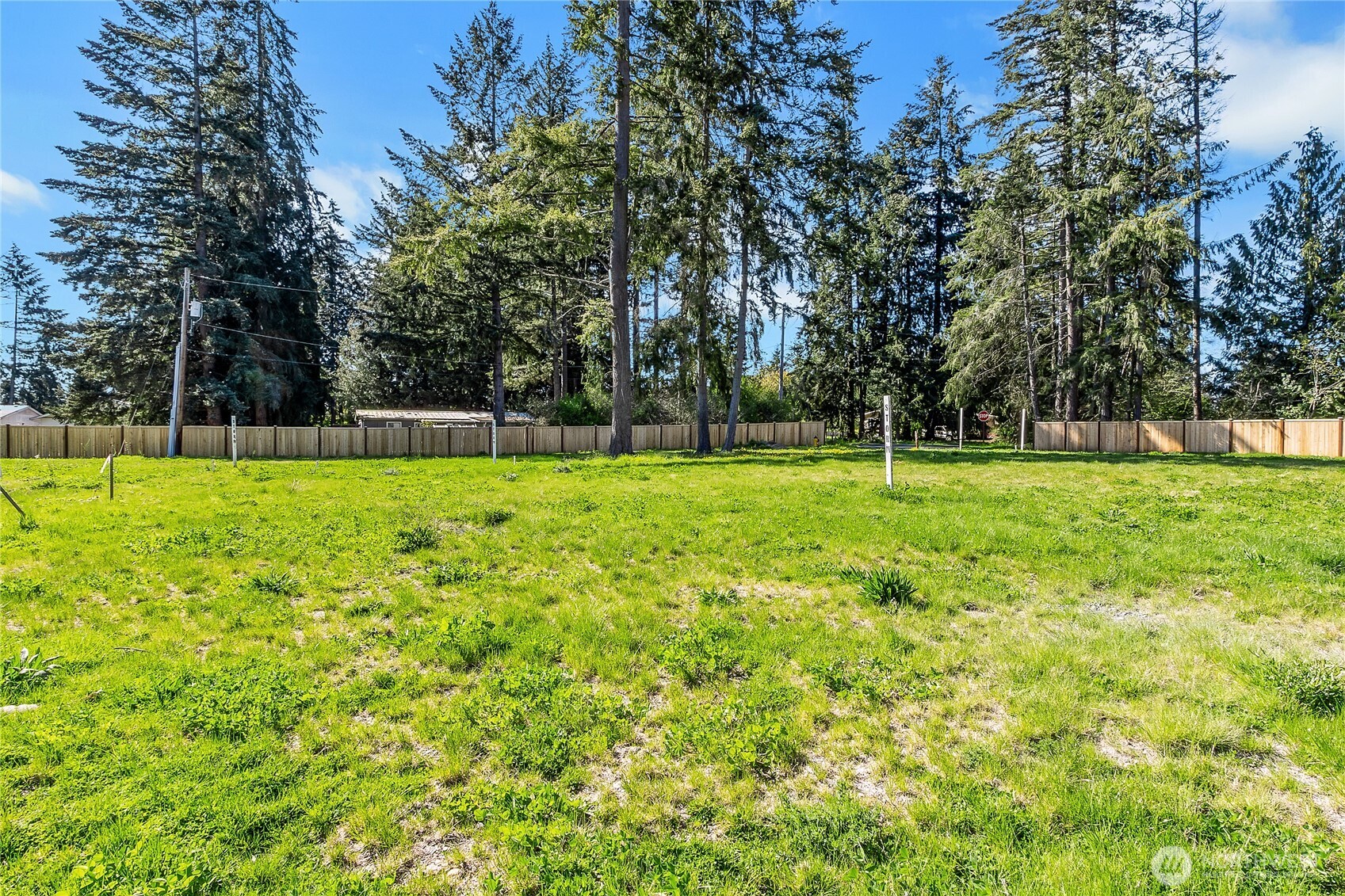 19604 95th Avenue East Graham, WA 98338 - Photo 2 of 12 a view of a big yard with a small yard