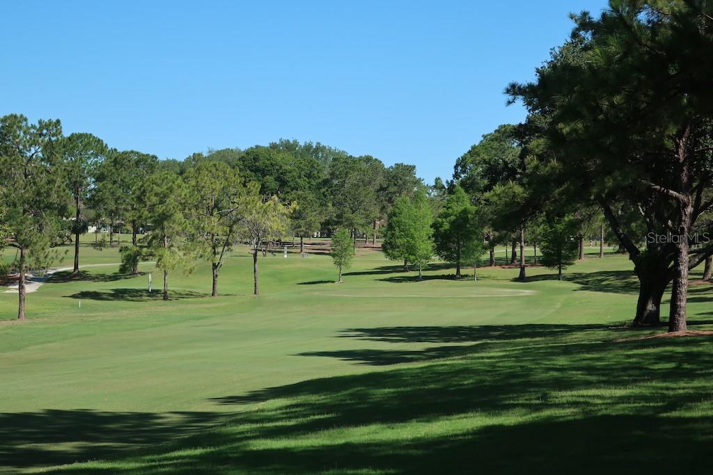 3681 Ridgemont Court Palm Harbor, FL 34684 - Photo 55 of 81 a view of a golf course with a garden
