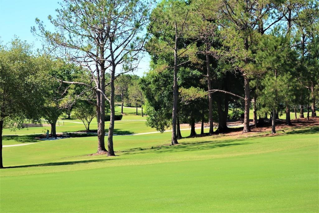 3681 Ridgemont Court Palm Harbor, FL 34684 - Photo 56 of 81