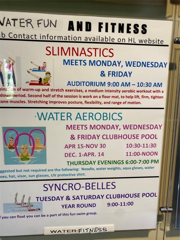 3681 Ridgemont Court Palm Harbor, FL 34684 - Photo 78 of 81