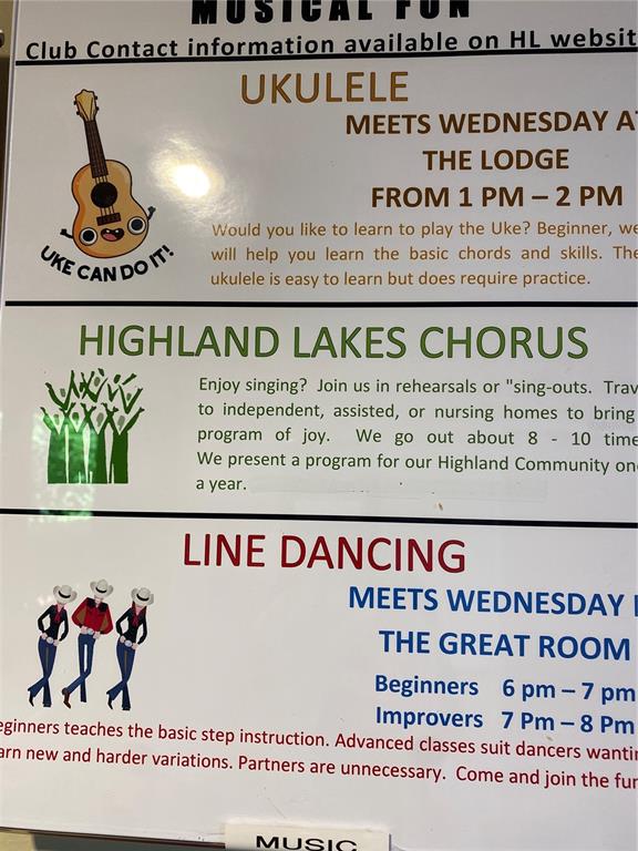 3681 Ridgemont Court Palm Harbor, FL 34684 - Photo 79 of 81