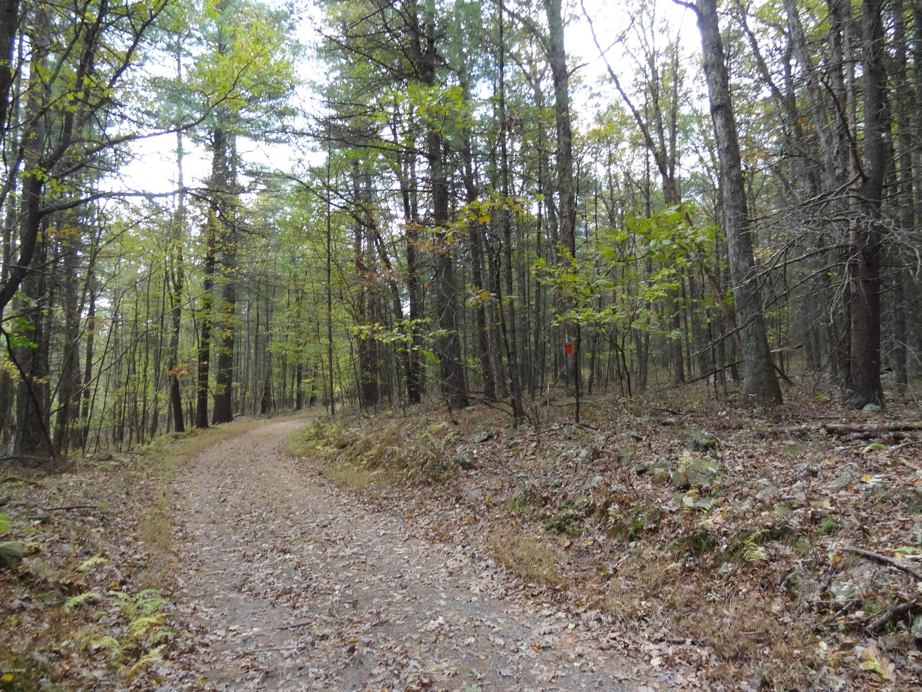 Hendrick Road Hawley, PA 18428 - Photo 5 of 11