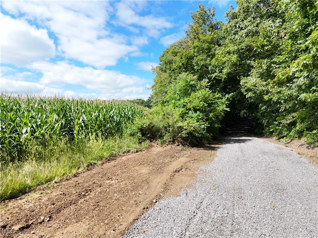 Fletcher Road Middlefield, OH 44062 - Photo 9 of 48 View of dirt / gravel road