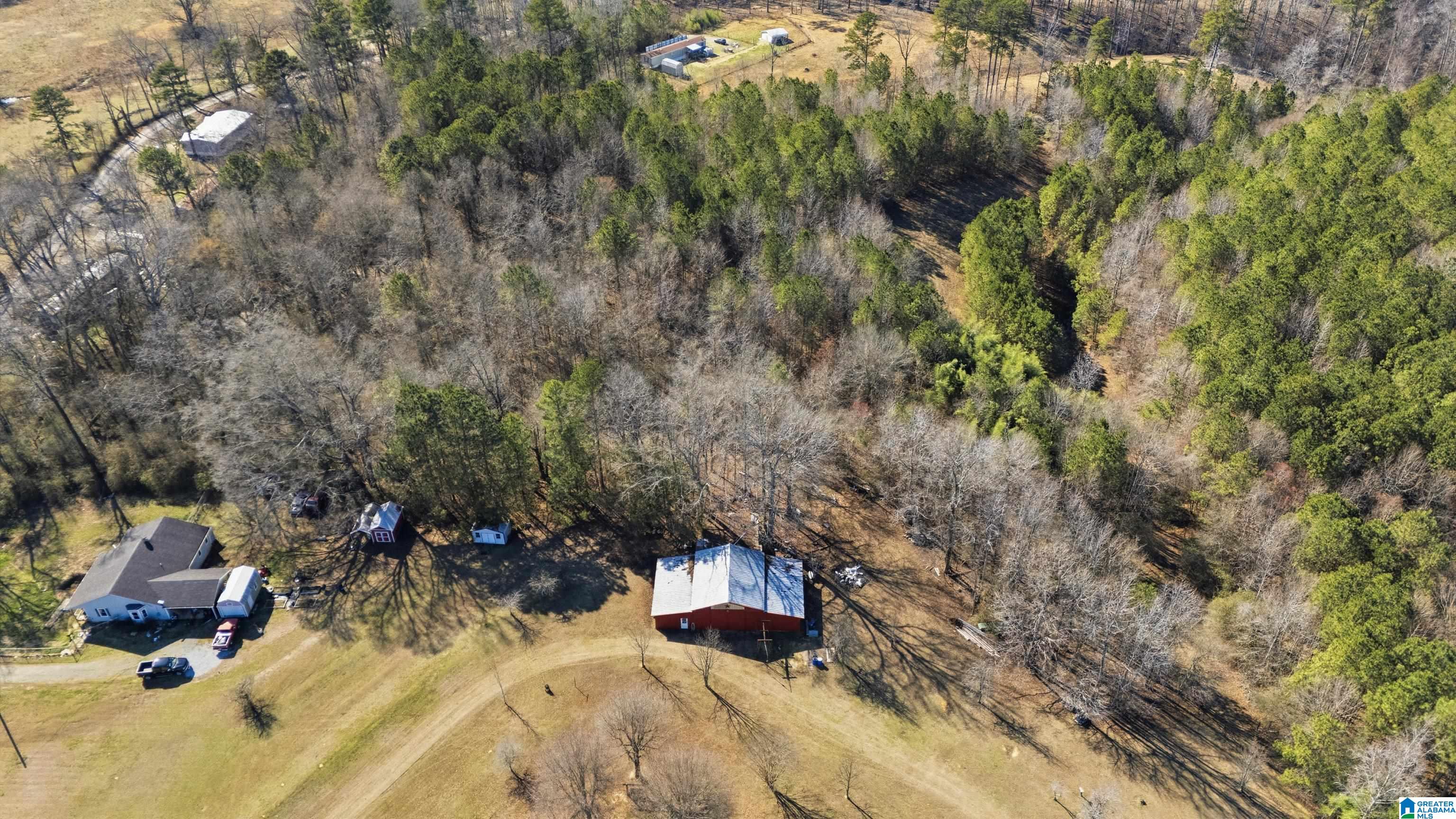 5304 Deans Ferry Road Trafford, AL 35172 - Photo 6 of 14