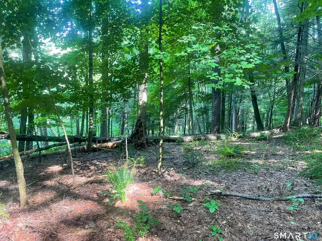 a view of a park with a bench and some trees