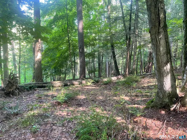a view of outdoor space and trees