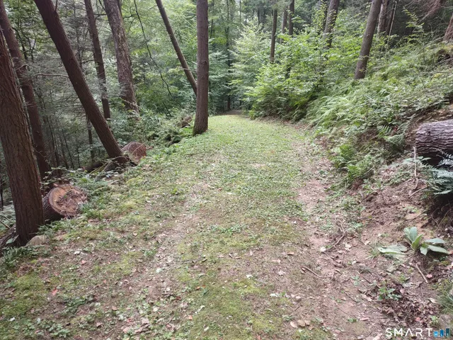 a big yard with lots of green space and trees