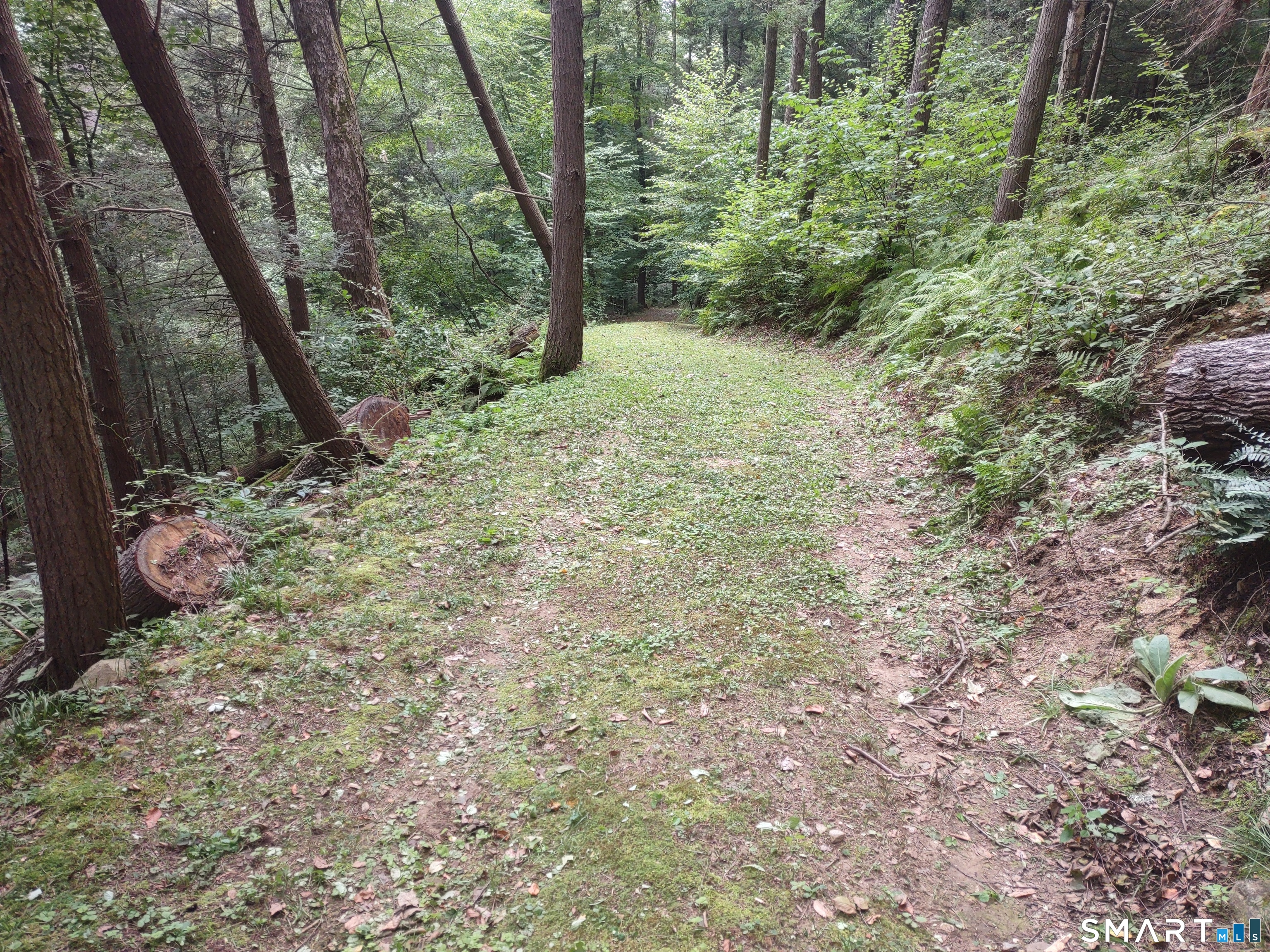 Railroad Street West Cornwall, CT 06796 - Photo 6 of 6 a big yard with lots of green space and trees