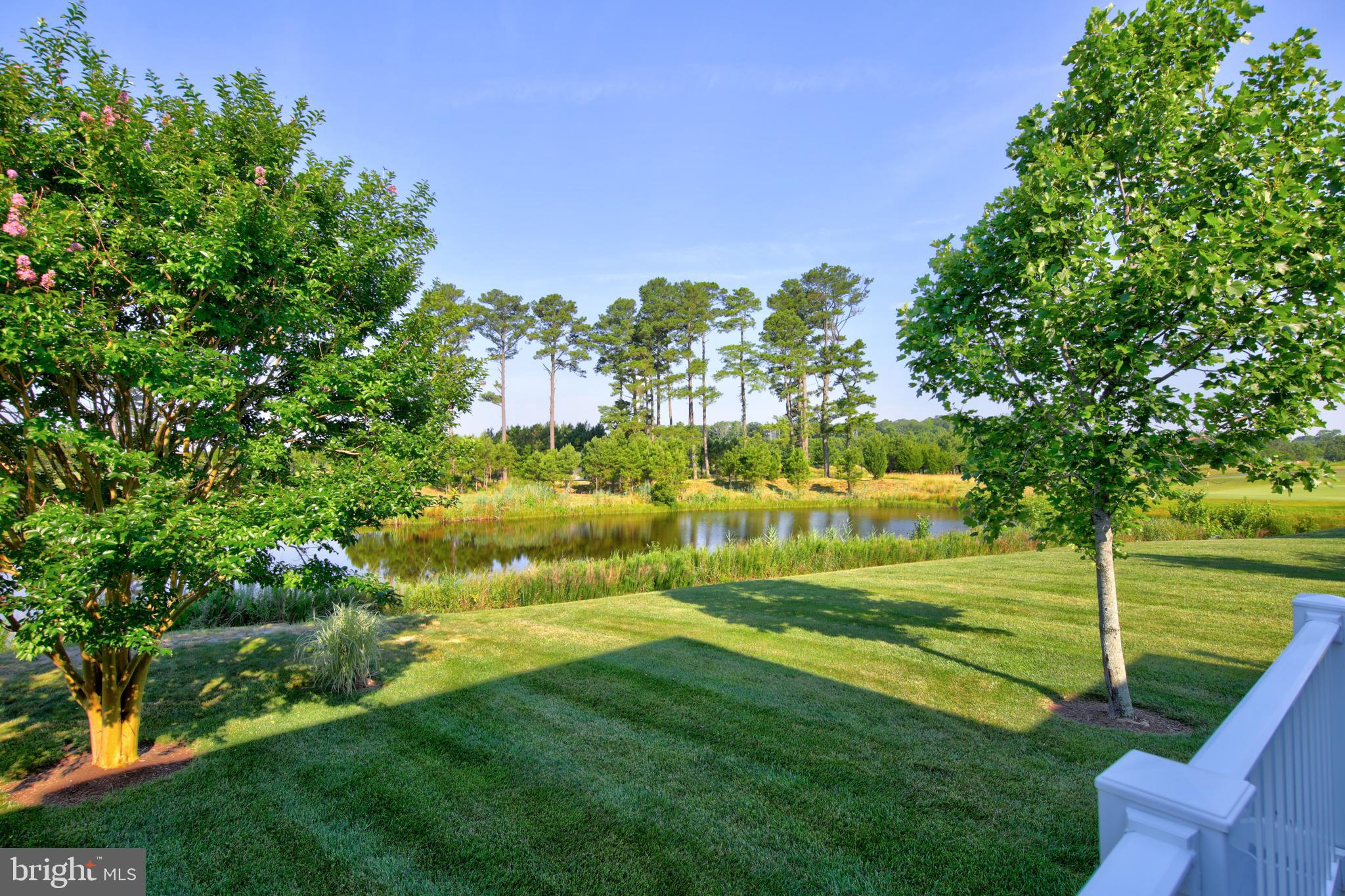 10219 Ruffian Lane Berlin, MD 21811 - Photo 11 of 78 Meticulously Landscaped