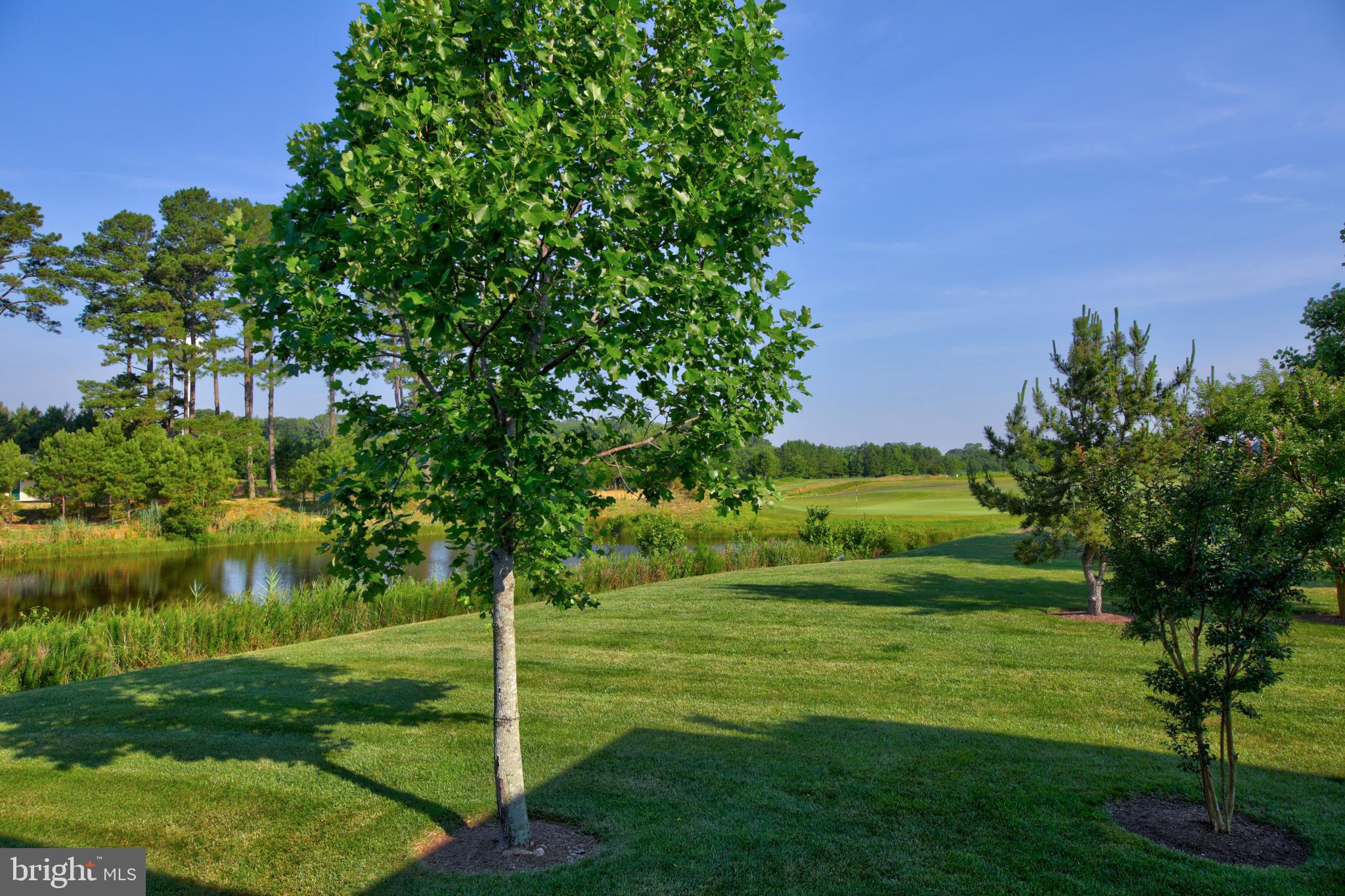 10219 Ruffian Lane Berlin, MD 21811 - Photo 12 of 78 Enjoy nature in your own private setting