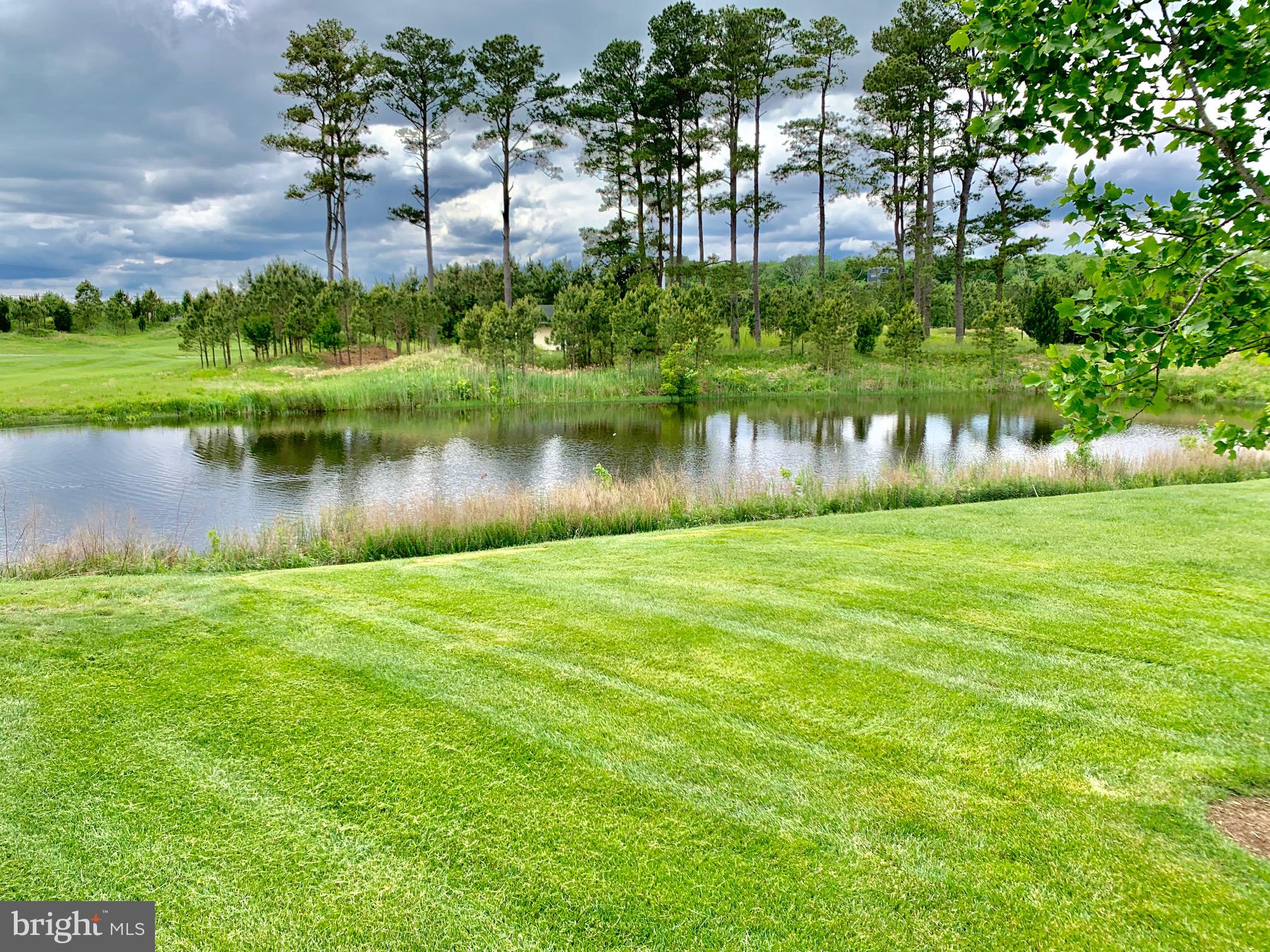 10219 Ruffian Lane Berlin, MD 21811 - Photo 13 of 78 Gorgeous Pond Views