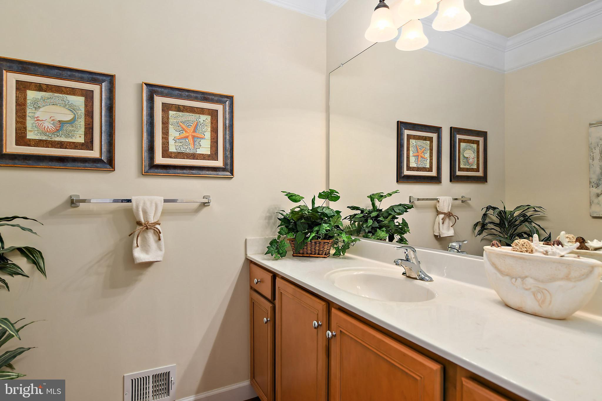 10219 Ruffian Lane Berlin, MD 21811 - Photo 30 of 78 Powder Room