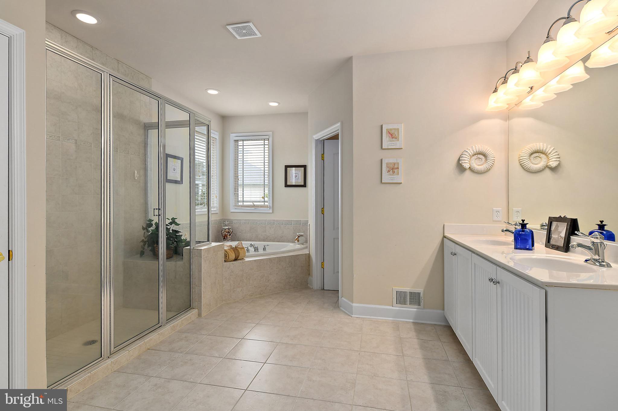 10219 Ruffian Lane Berlin, MD 21811 - Photo 47 of 78 Master Bath w/Shower