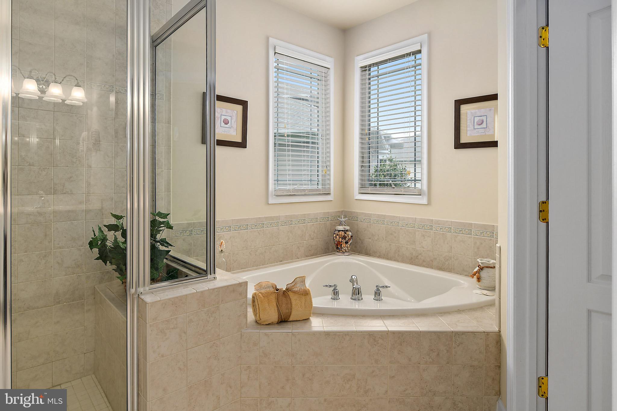 10219 Ruffian Lane Berlin, MD 21811 - Photo 48 of 78 Master Soaking Tub