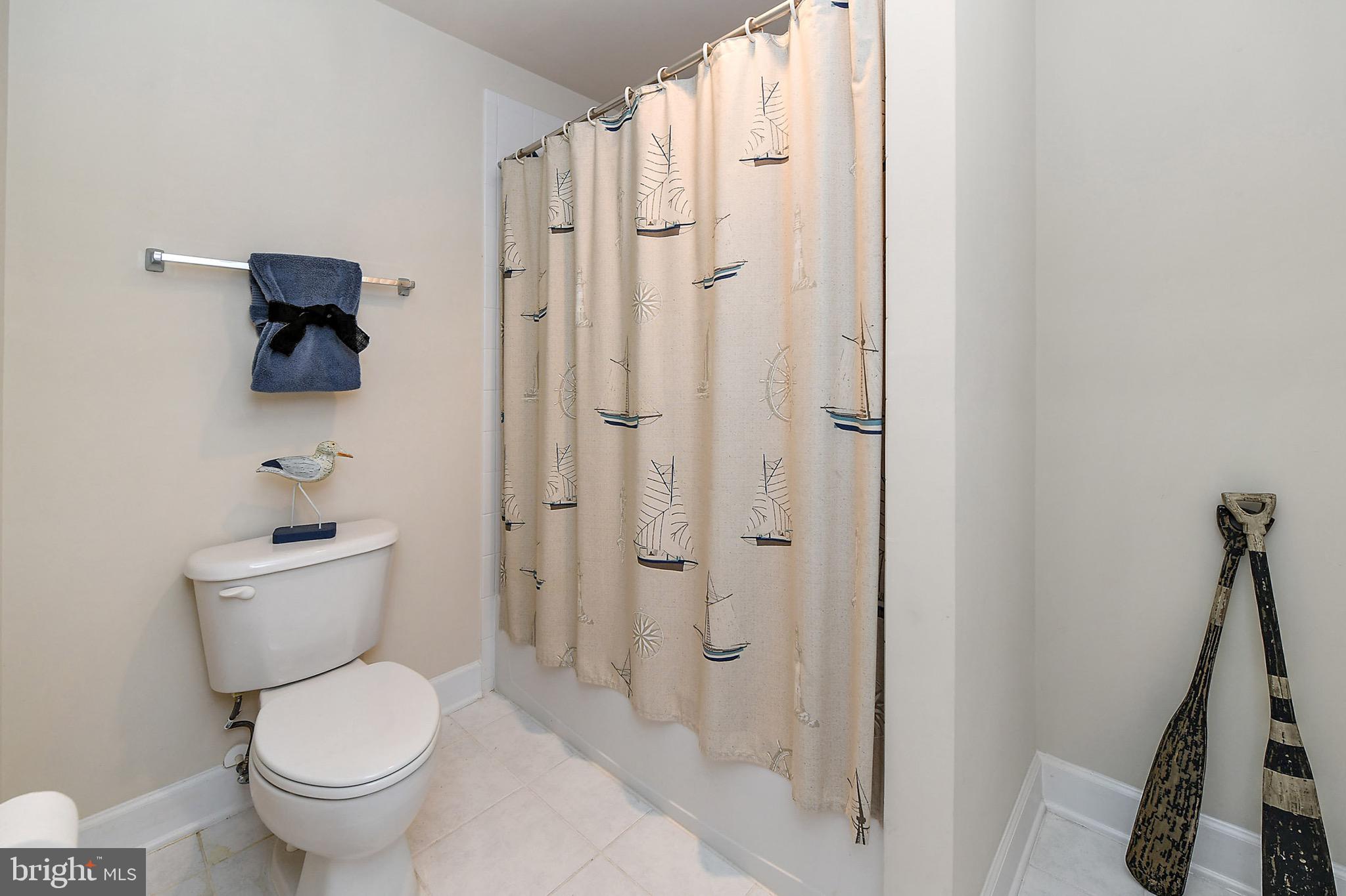 10219 Ruffian Lane Berlin, MD 21811 - Photo 52 of 78 3rd Full Bath
