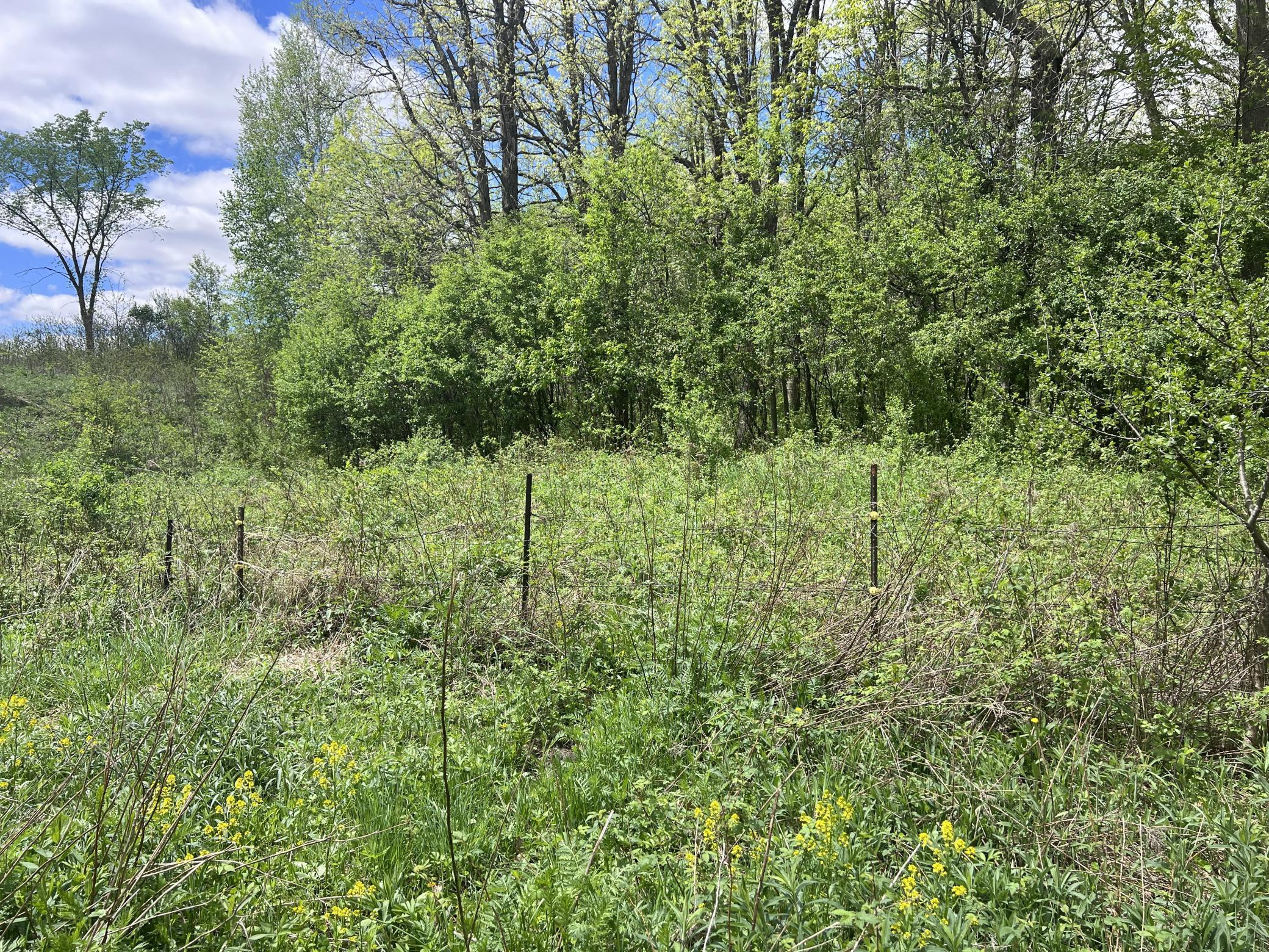Tbd Tbd County Line Avenue Clear Lake, WI 54005 - Photo 5 of 11
