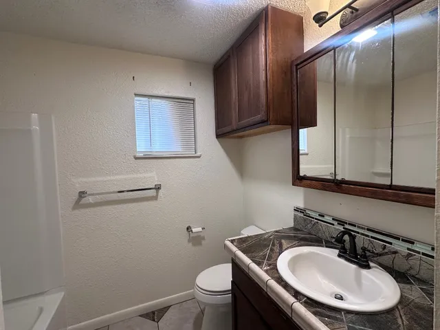 a bathroom with a sink and a toilet