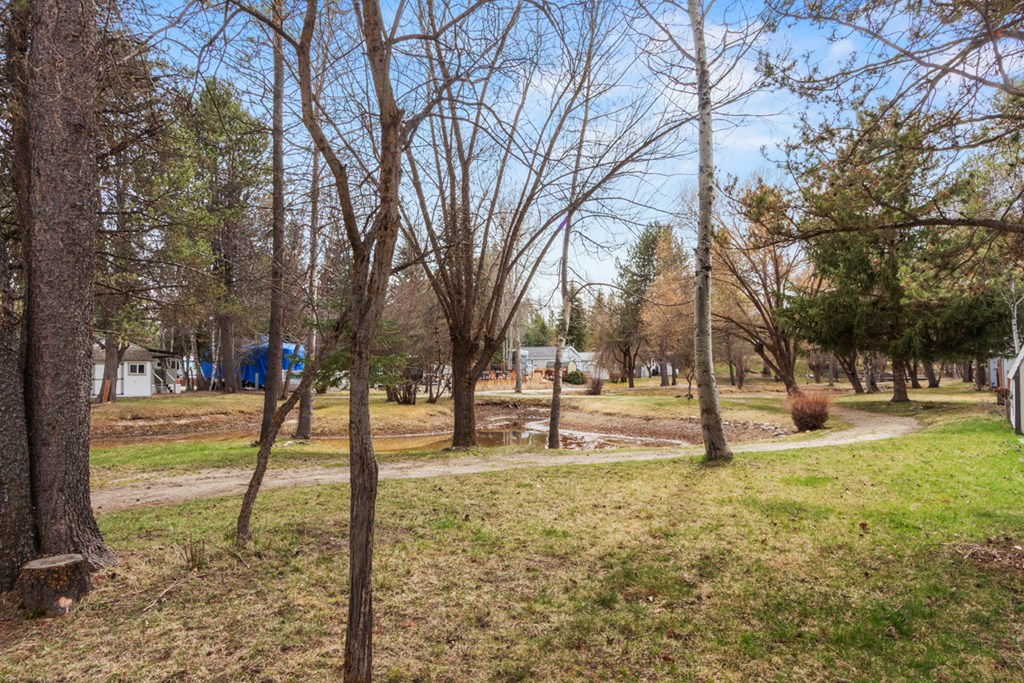 25 E Street Cascade, ID 83611 - Photo 12 of 24 Trail and Pond Out Back Door